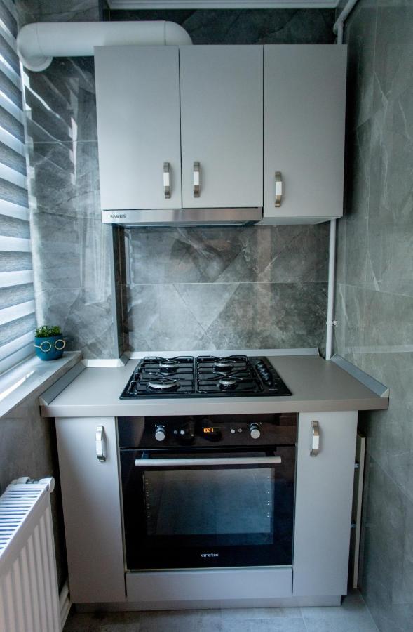 Loghin Residence Suceava Dış mekan fotoğraf