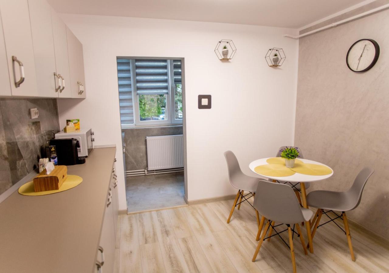 Loghin Residence Suceava Dış mekan fotoğraf